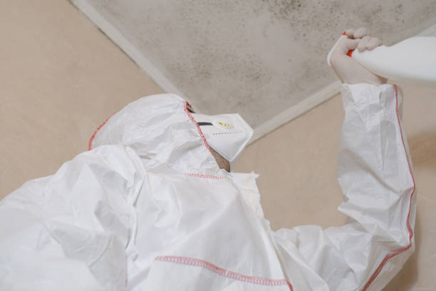 Best Mold Testing and Removal  in Butler, PA